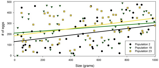  Figure 3: This just shows the data for populations 2, 19, and 23. All three of them had significant positive relationships. (note: the data are fictional and were randomly generated)