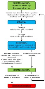 This sows the basic workflow that the simulation uses.