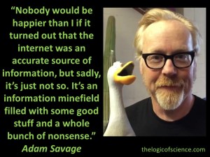 Adam Savage internet minefield information 