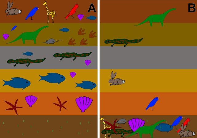 Figure1: Panel A shows what evolution predicts that the fossil record should like like, and panel B shows what creationism predicts (under a flash flood model). Note: both panels are overly simplified. In reality there are hundreds of layers, and I left out lots of steps. Also, I was simply illustrating the first time that each group appears rather than focusing on how long they persisted.
