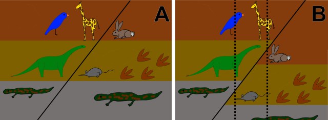 Figure 2: A simply illustration of how layers can shift along fault lines (the diagonal lines). Layers can form (A) and later shift because they are on faults (B). These can cause inconsistencies if you dig at precise spots (such as the dashed lines), but those inconsistencies disappear when you look at the whole site.