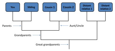 This is an example of a cladogram (aka phylogenetic tree) showing the relationships between you and your five relatives in my example.